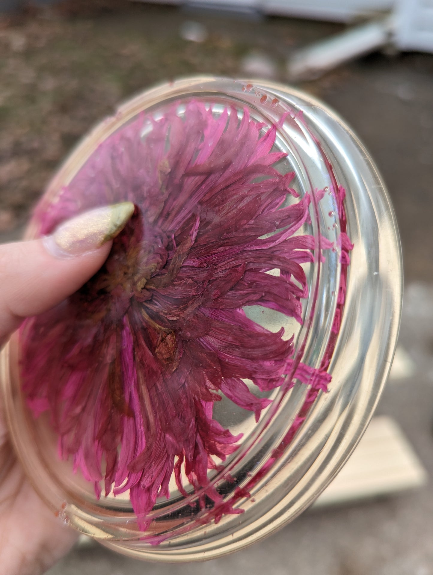 Preserved Pressed Flowers Trinket Tray